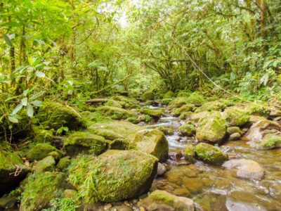 Acuíferos Guácimo-Pococí