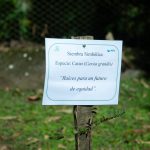 Conmemoración Día de la Mujer.