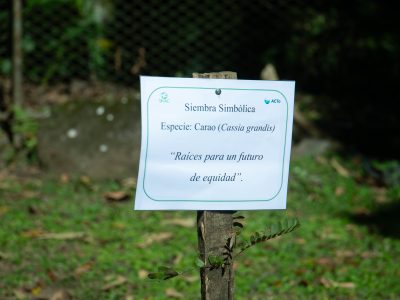 Conmemoración Día de la Mujer.