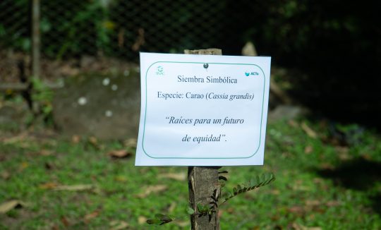 Conmemoración Día de la Mujer.